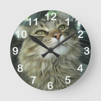 Maine Coon kitty Round Clock