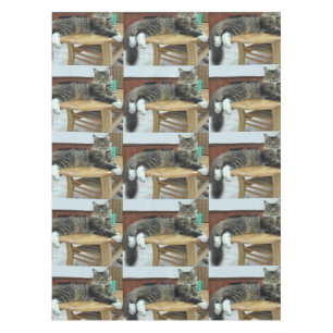 maine coon laying 2 tablecloth