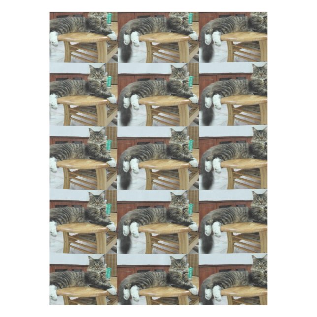maine coon laying 2 tablecloth (Front)