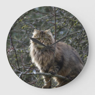 Maine Coon Long-hair Tabby Cat Animal Pet Clock