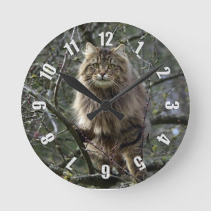 Maine Coon Long-hair Tabby Cat Animal Pet Clock