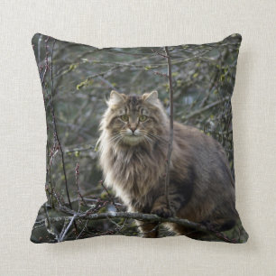 Maine Coon Long-hair Tabby Cat Animal Pet Cushion