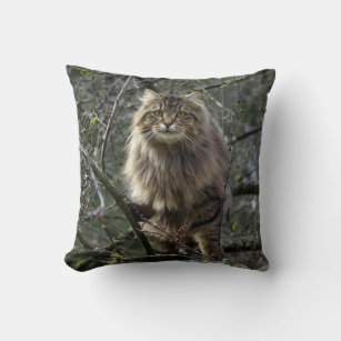 Maine Coon Long-hair Tabby Cat Animal Pet Cushion