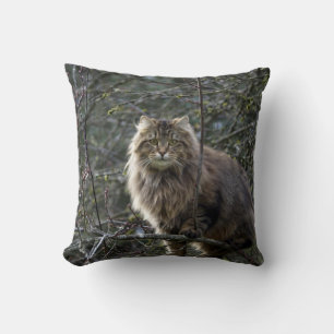 Maine Coon Long-hair Tabby Cat Animal Pet Cushion