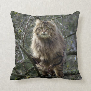Maine Coon Long-hair Tabby Cat Animal Pet Cushion