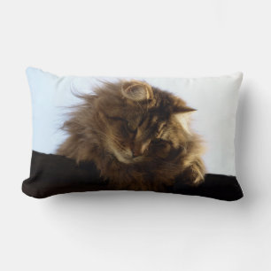 Maine Coon Long-hair Tabby Cat Animal Pet Lumbar Cushion