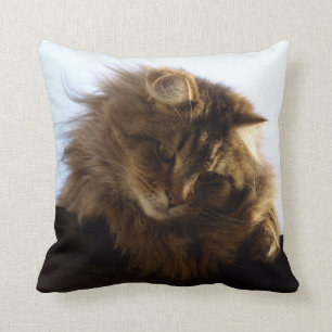 Maine Coon Long-hair Tabby Cat Cushion