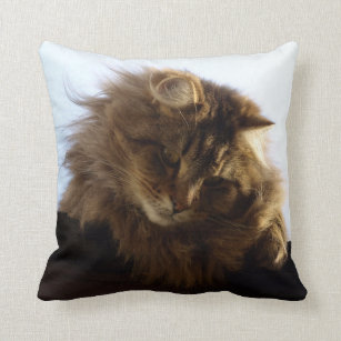 Maine Coon Long-hair Tabby Cat Cushion