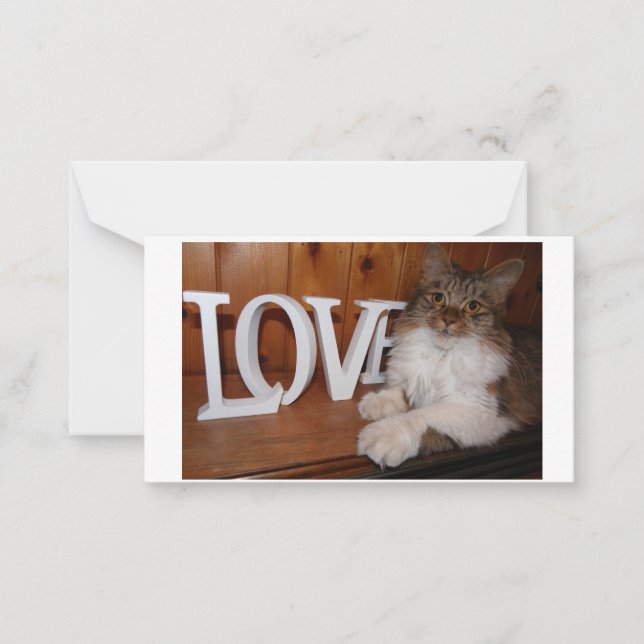 Maine coon love cat 3.5 x 2 card (Front)