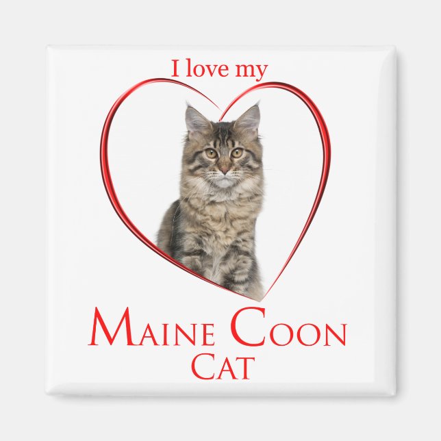 Maine Coon Magnet (Front)