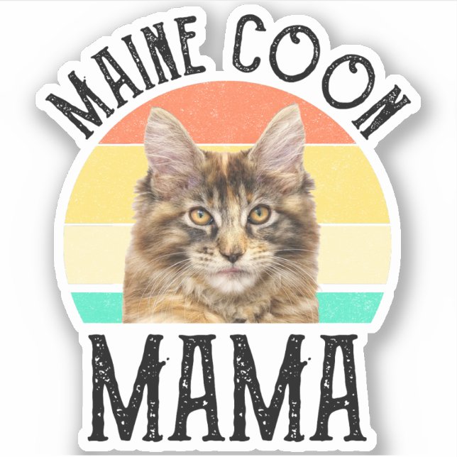 Maine Coon Mama (Front)