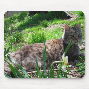 Maine Coon Mouse Pad