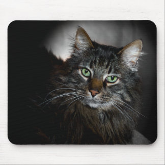 Maine Coon Mouse Pad