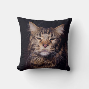 maine coon on a black background younganimal,cat,c cushion