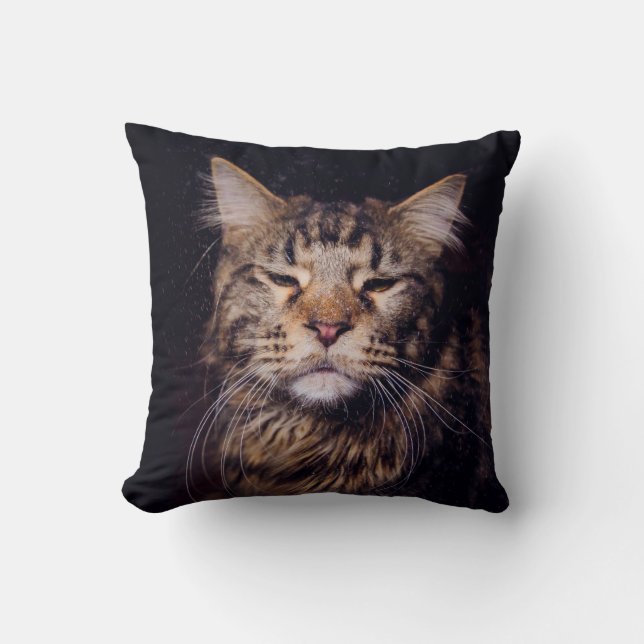 maine coon on a black background younganimal,cat,c cushion (Front)