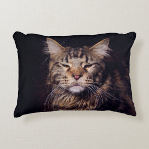maine coon on a black background younganimal,cat,c decorative cushion