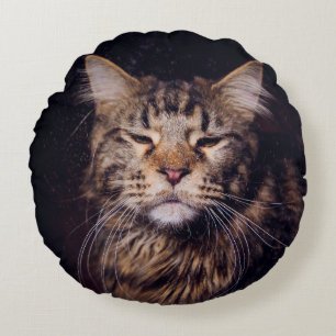 maine coon on a black background younganimal,cat,c round cushion