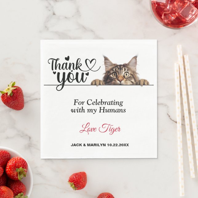 Maine Coon Peeking Cat Paper Napkins (Insitu)