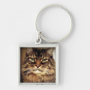 Maine Coon Photo / Crabby Cat  Key Ring