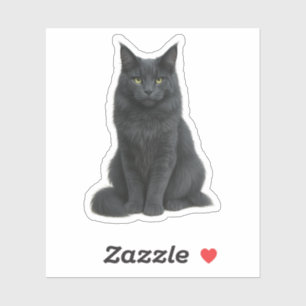 Maine Coon solid blue cat Sticker