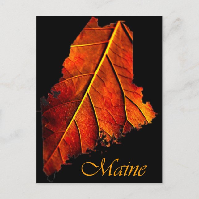 Maine Fall Photo Foliage | Maine Autumn Foliage Postcard (Front)