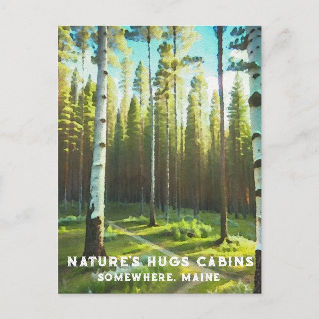 *~* Maine Forest Birch Evergreens AP49 Postcard (Front)