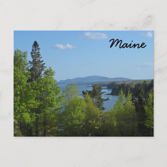 Maine - Frenchman Bay Postcard (Front)