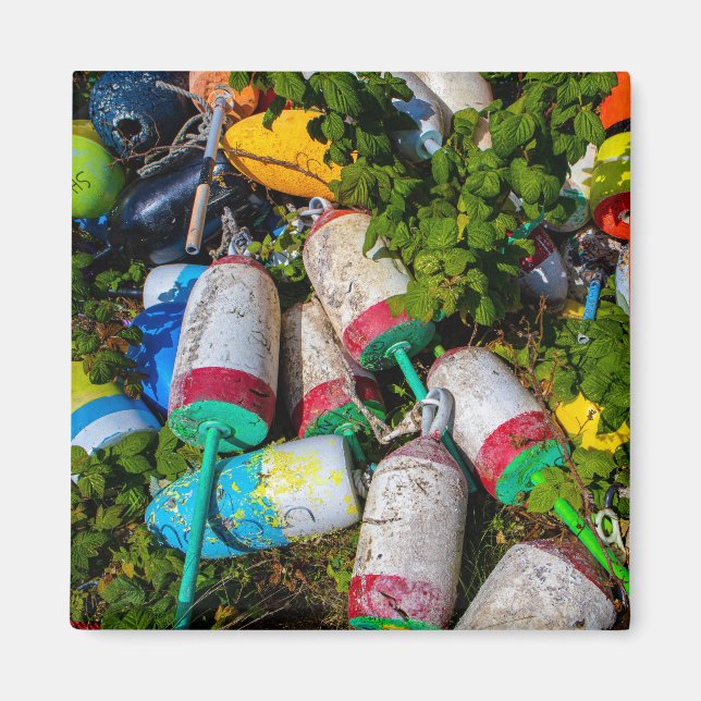 Maine Lobster Buoys Magnet (Front)