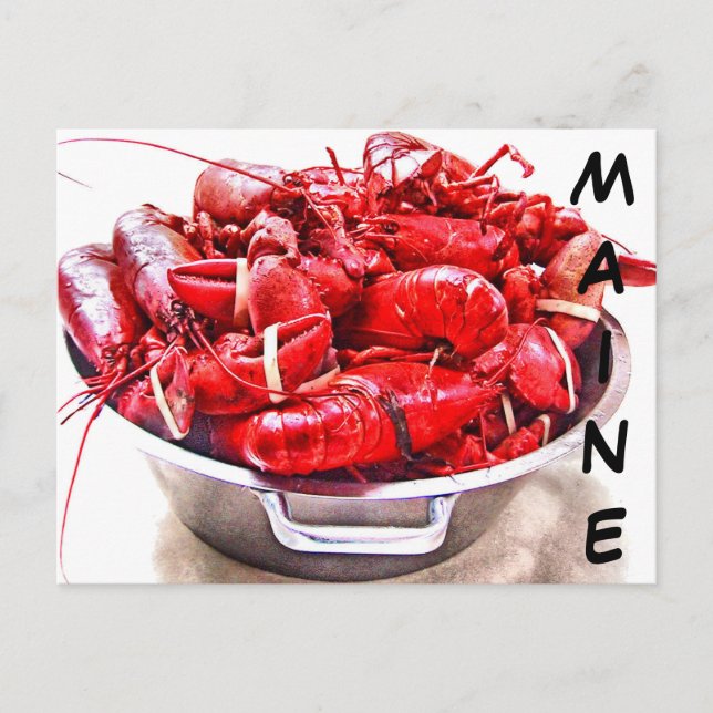 Maine Lobster Postcard (Front)