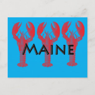 maine lobster postcard