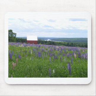 Maine Lupines Field Stockholm, ME Mouse Pad