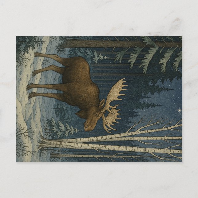 Maine Moose in Winter Snow                         Postcard (Front)