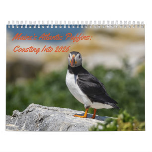 Maine’s Atlantic Puffins: Coasting Into 2026  Calendar