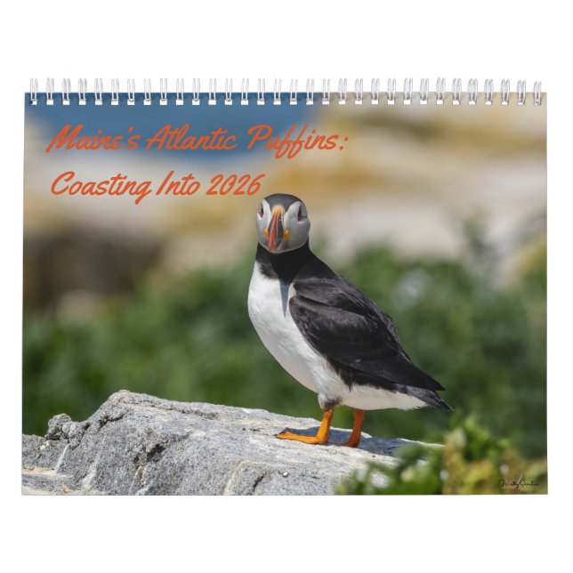 Maine’s Atlantic Puffins: Coasting Into 2026  Calendar (Cover)