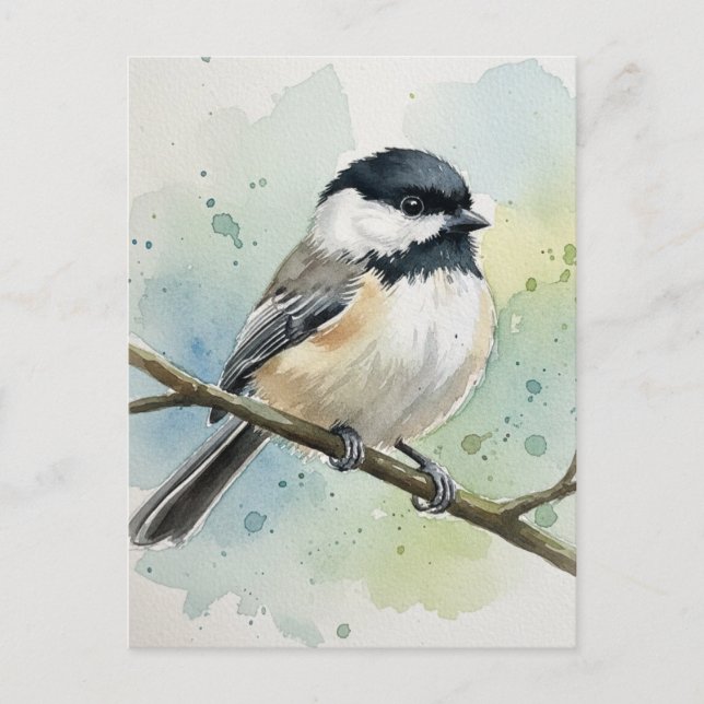 Maine State Bird Black-Capped Chickadee Postcard (Front)