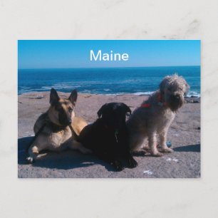Maine Vacation Postcard
