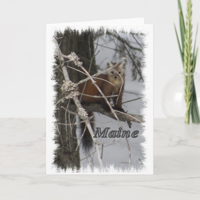 Maine Wildlife - Pine Marten Holiday Card (Front)