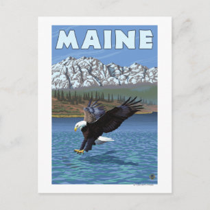 MaineEagle Fishing Postcard