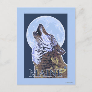 MaineHowling Wolf Postcard