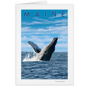 MaineHumpback Whale Scene