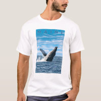 MaineHumpback Whale Scene