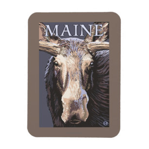 MaineMoose Up Close Magnet