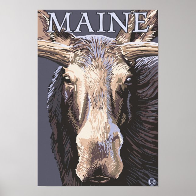 MaineMoose Up Close Poster (Front)