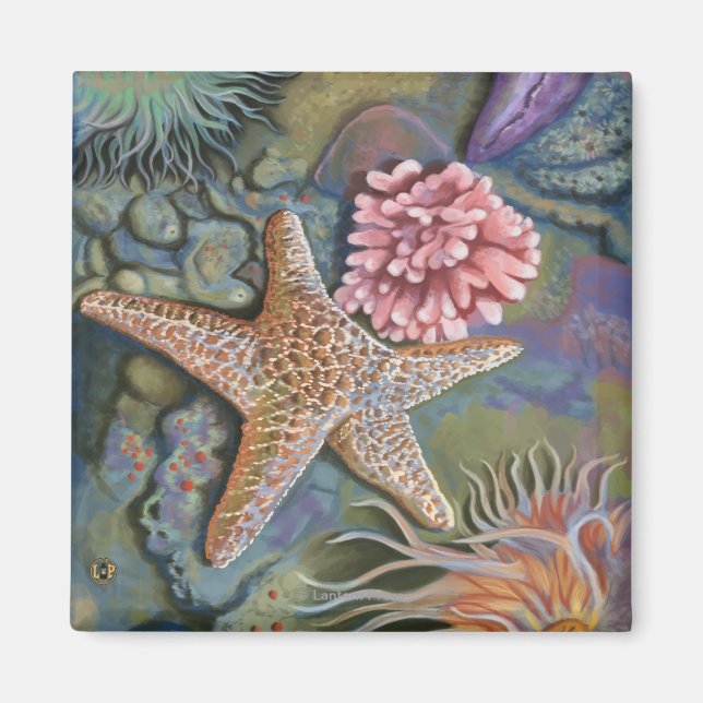 MaineTidepool Scene Magnet (Front)