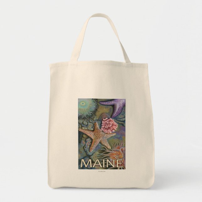 MaineTidepool Scene Tote Bag (Front)