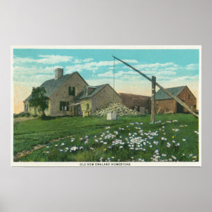 MaineView of an Old New England Homestead Poster