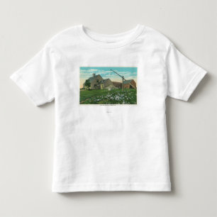 MaineView of an Old New England Homestead Toddler T-Shirt