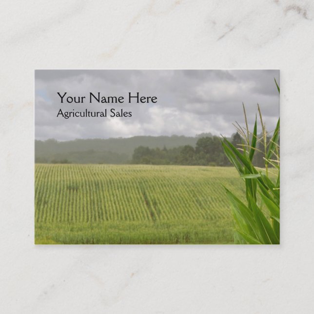 Maize plants in a farm landscape business card (Front)