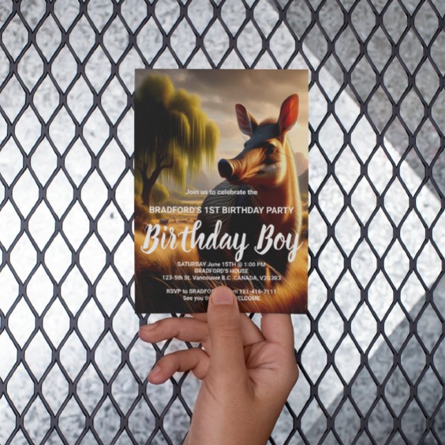  Majestic Aardvark in Serene Field Postcard (Creator Uploaded)