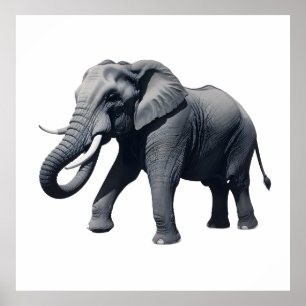 Majestic African Elephant Walking with Large Tusks Poster